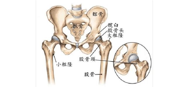 股骨髁剥脱性骨软骨病